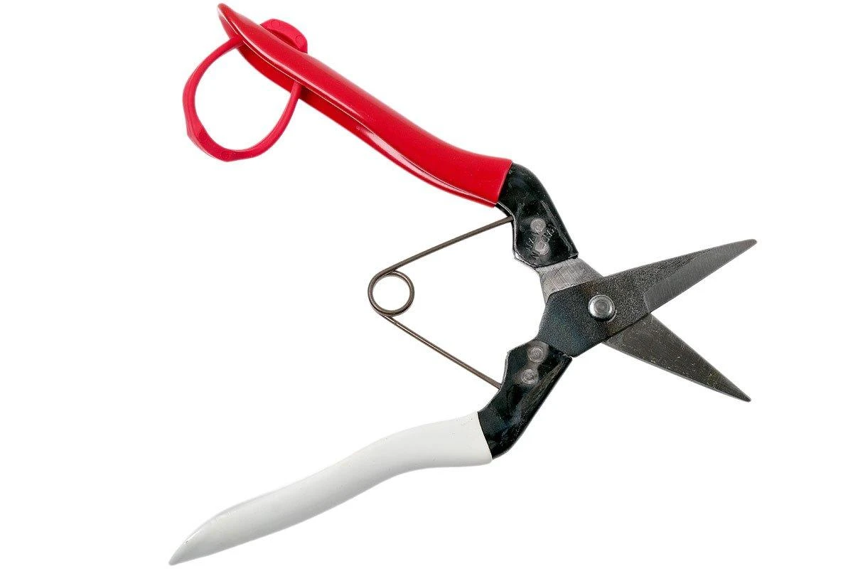 Okatsune Blumenschere KST307, Blattlänge 3,5 Cm 3 Okatsune Blumenschere KST307, Blattlänge 3,5 Cm – Bild 2