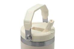 Stanley The IceFlow Flip Straw Tumbler 890 Ml Trinkflasche - Rose Quartz -Deutschland Jagd Licht Verkaufs-Shop PI10 09993 196 03 stanley